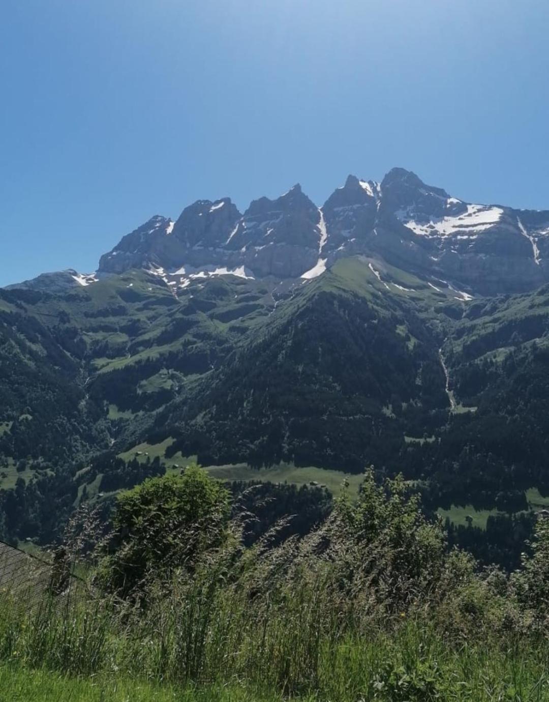 Chalet Sur Cou Champery Exterior photo